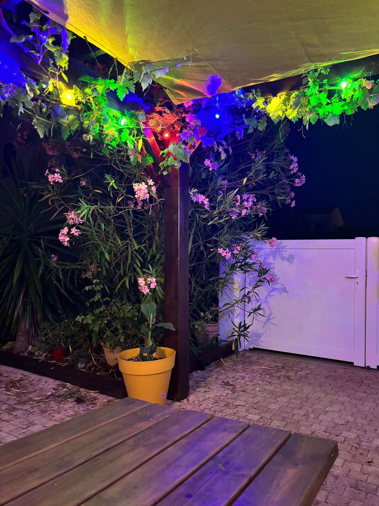 Colorful string lights illuminate a cozy garden patio at night with blooming flowers and potted plants.