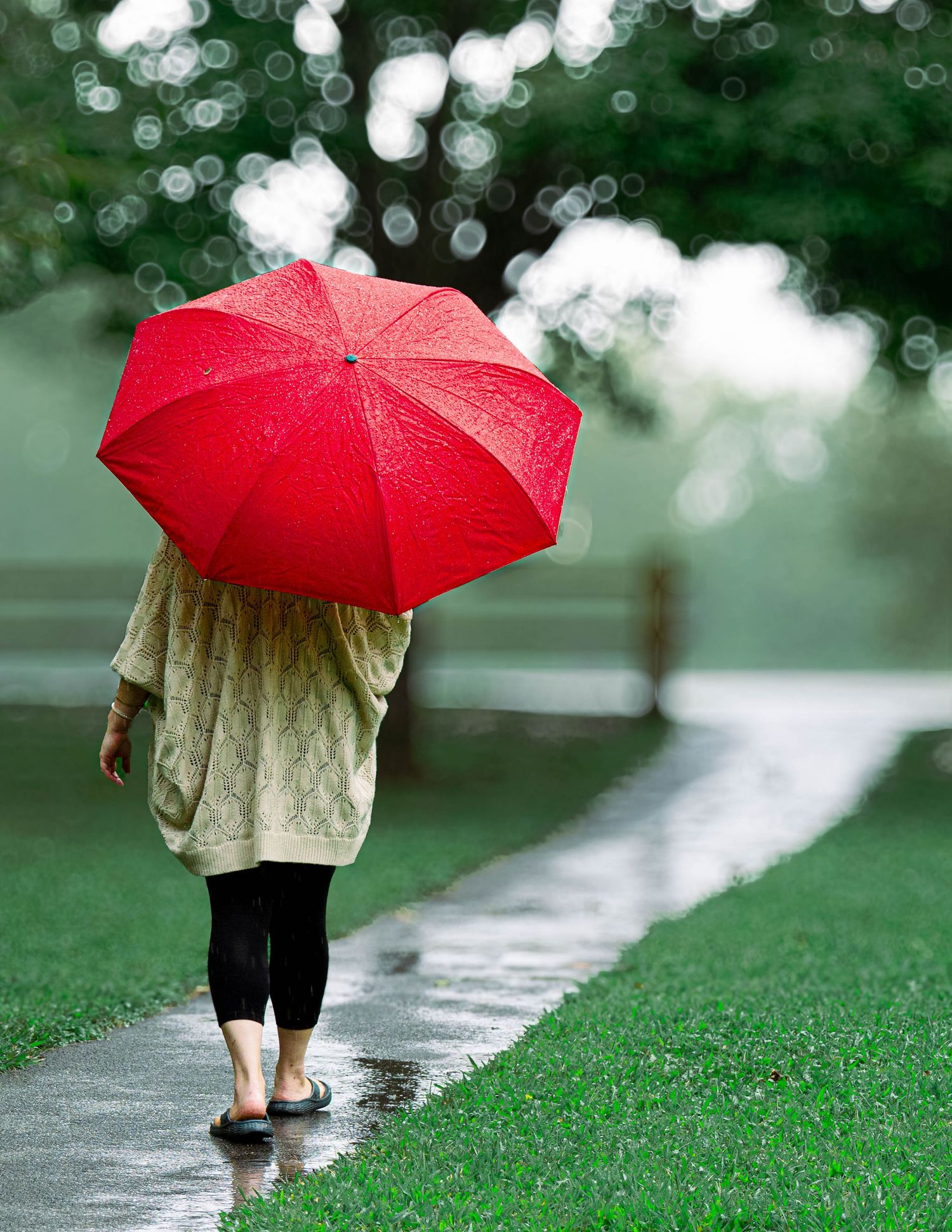 Woman walking in rain holding a vibrant red umbrella on a wet pathway surrounded by lush green grass.