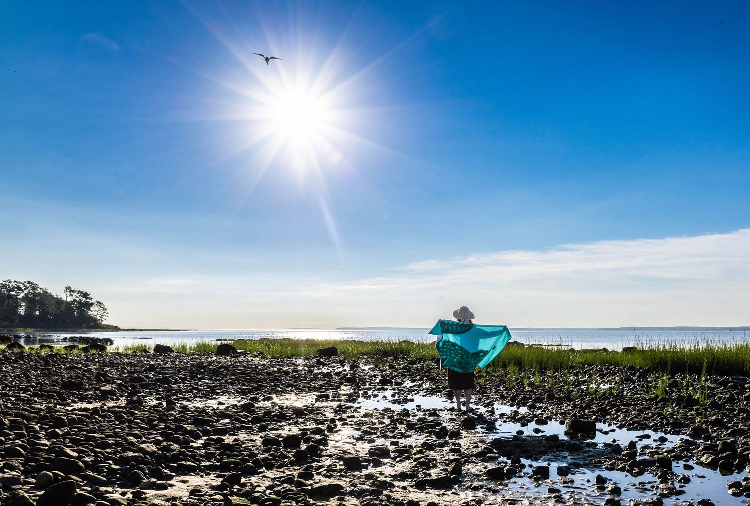 Person wrapped in teal fabric stands on rocky tidal flats under bright sun with blue sky and calm water in background.