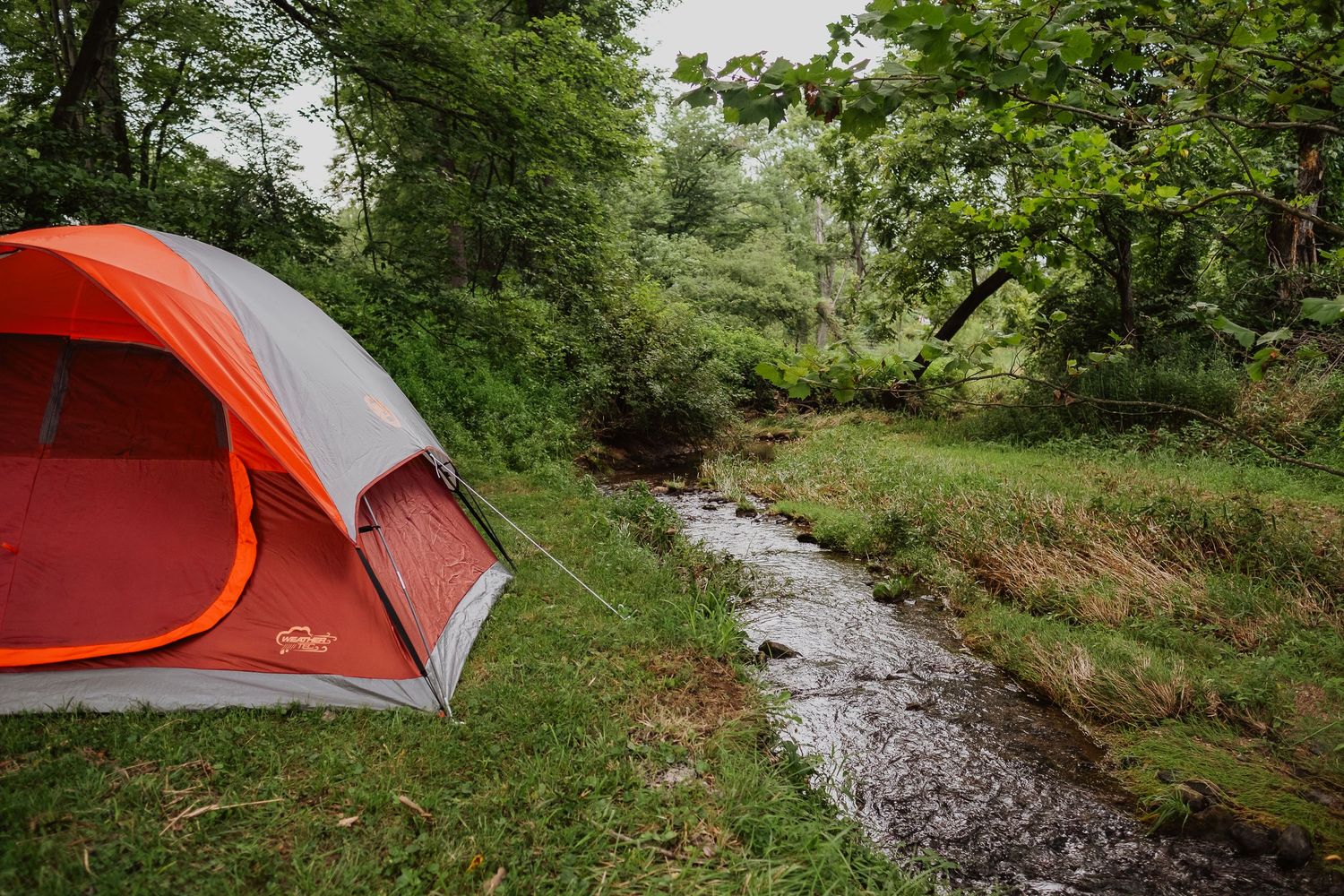 Red and gray camping tent pitched beside a babbling creek surrounded by lush green trees and grass.