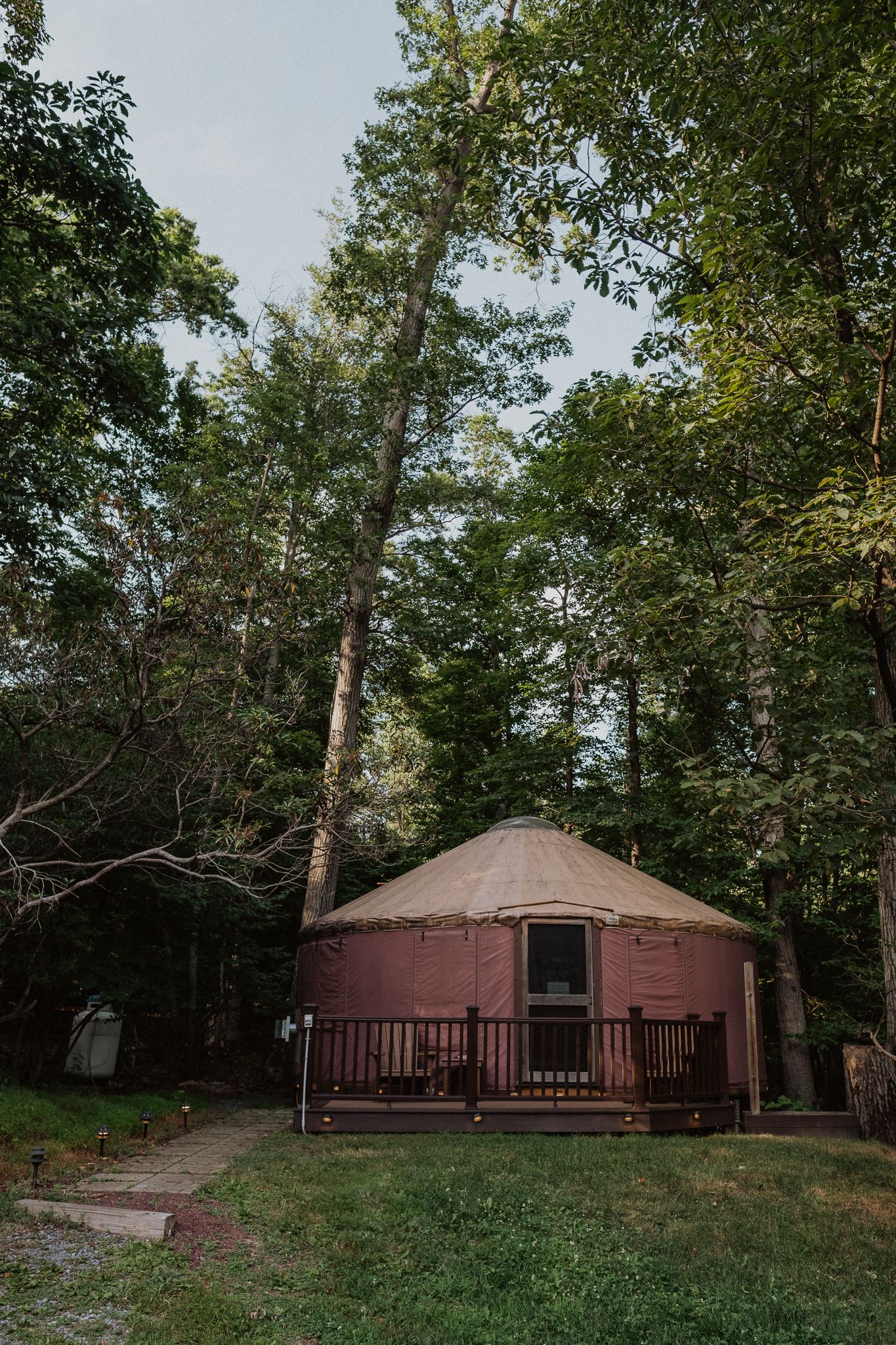 A rustic red yurt with a wooden deck nestled among tall green trees in a serene forest campsite.