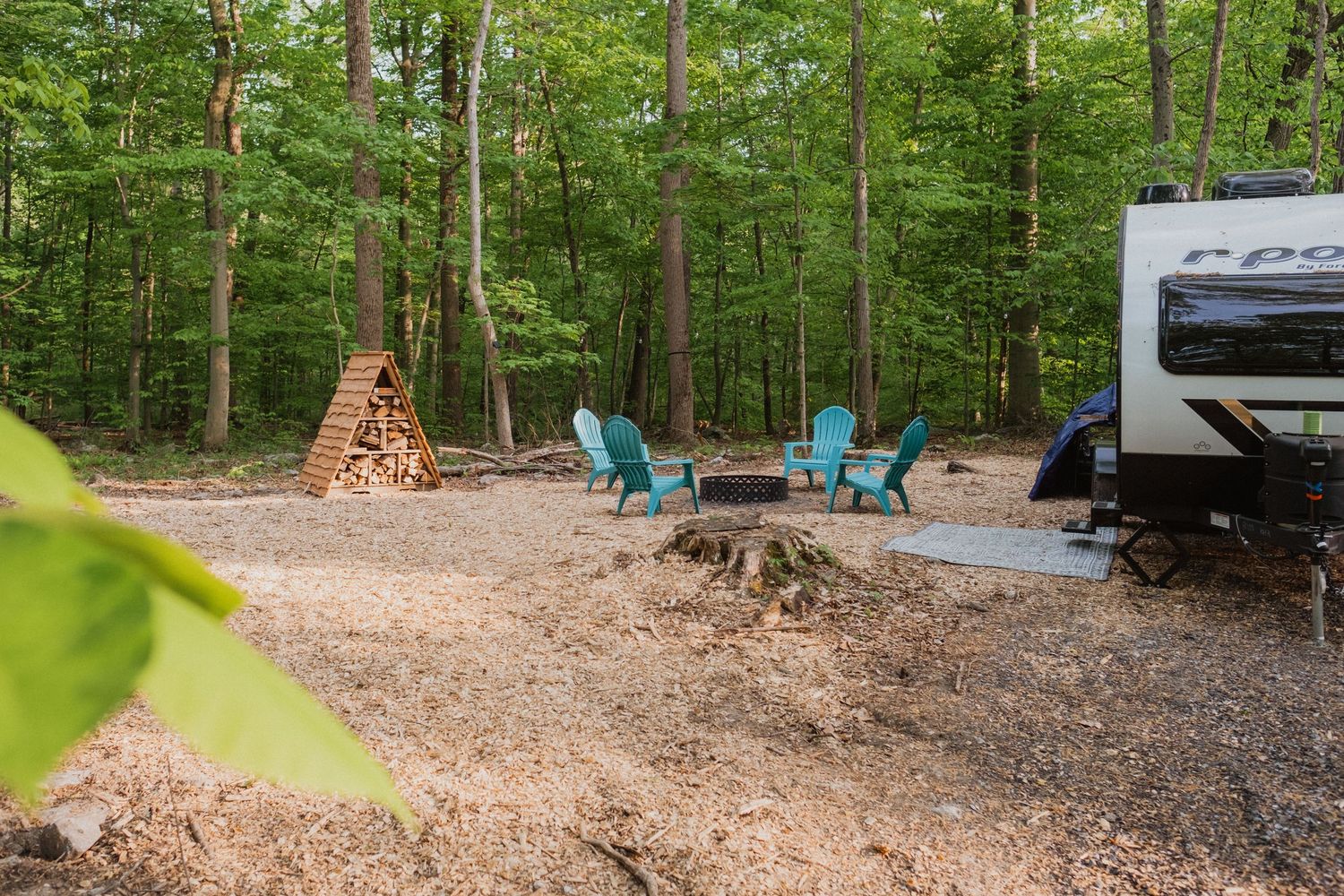 Campsite with blue Adirondack chairs, fire pit, stacked firewood, green tent, and RV surrounded by lush forest trees.
