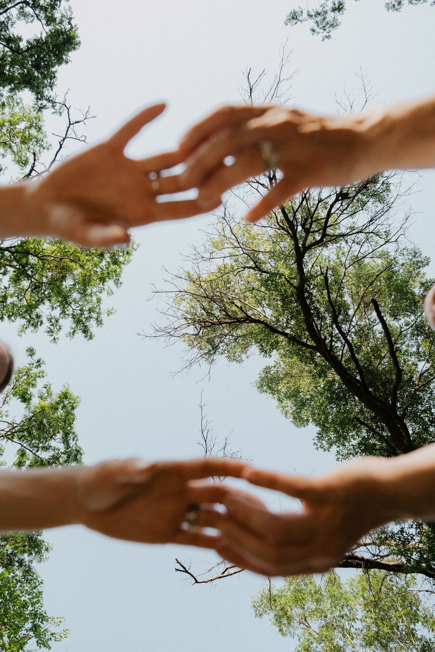 Upward view of two hands reaching toward each other framed by green tree canopies and blue sky.