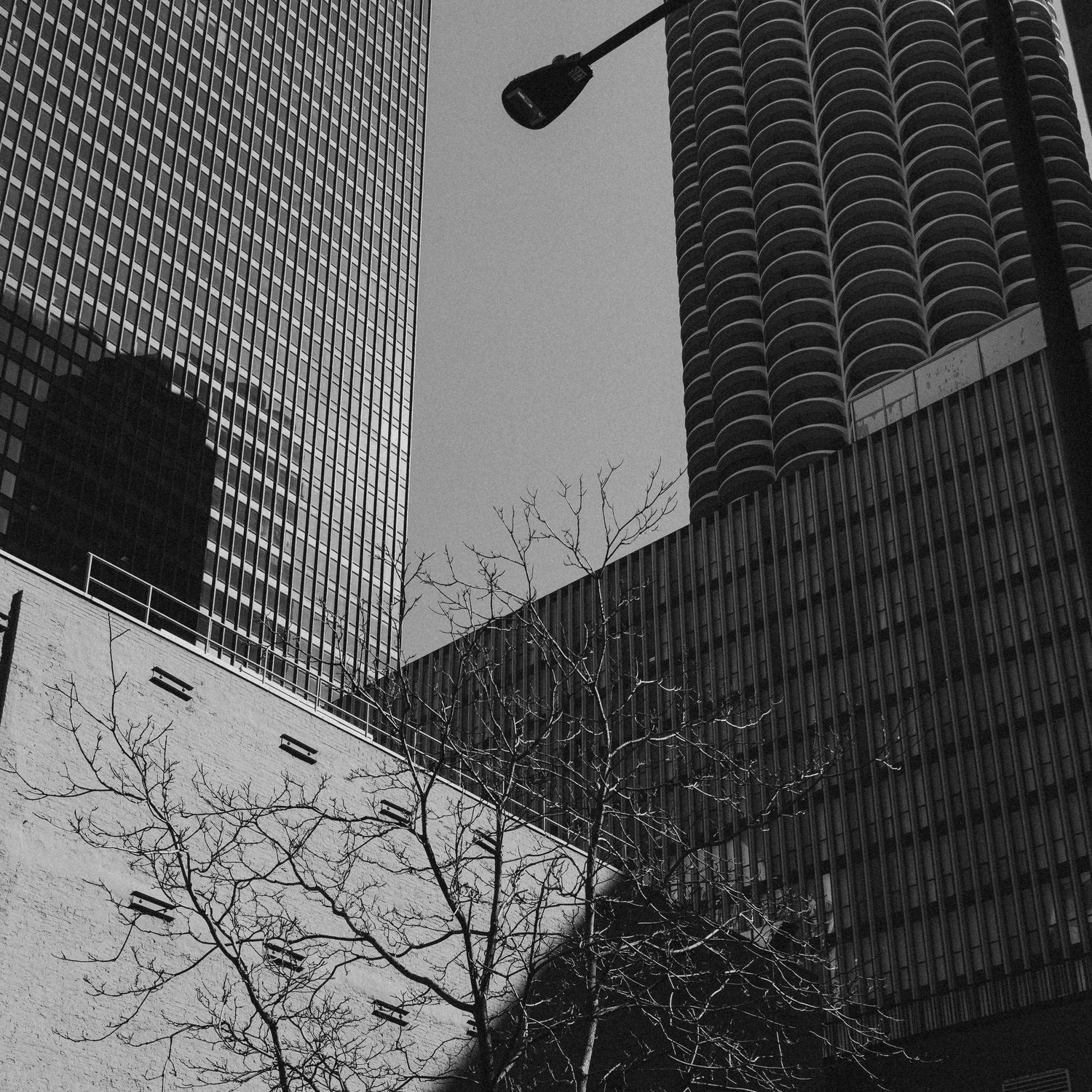Black and white photo of Chicago skyscrapers including Marina City towers with bare trees and a street lamp in foreground.