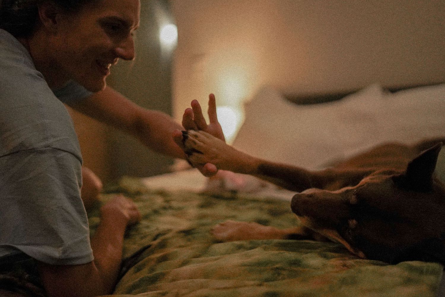 Smiling person giving a high five to a Doberman dog on a bed in warm indoor lighting.