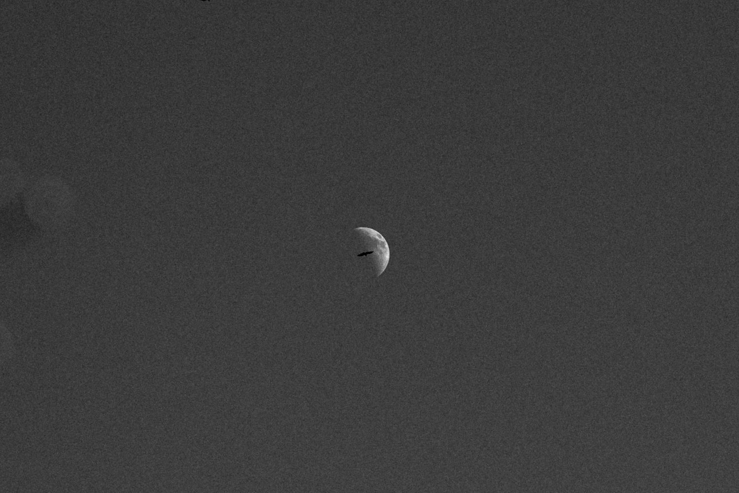Black and white photo of a crescent moon in a dark gray sky.