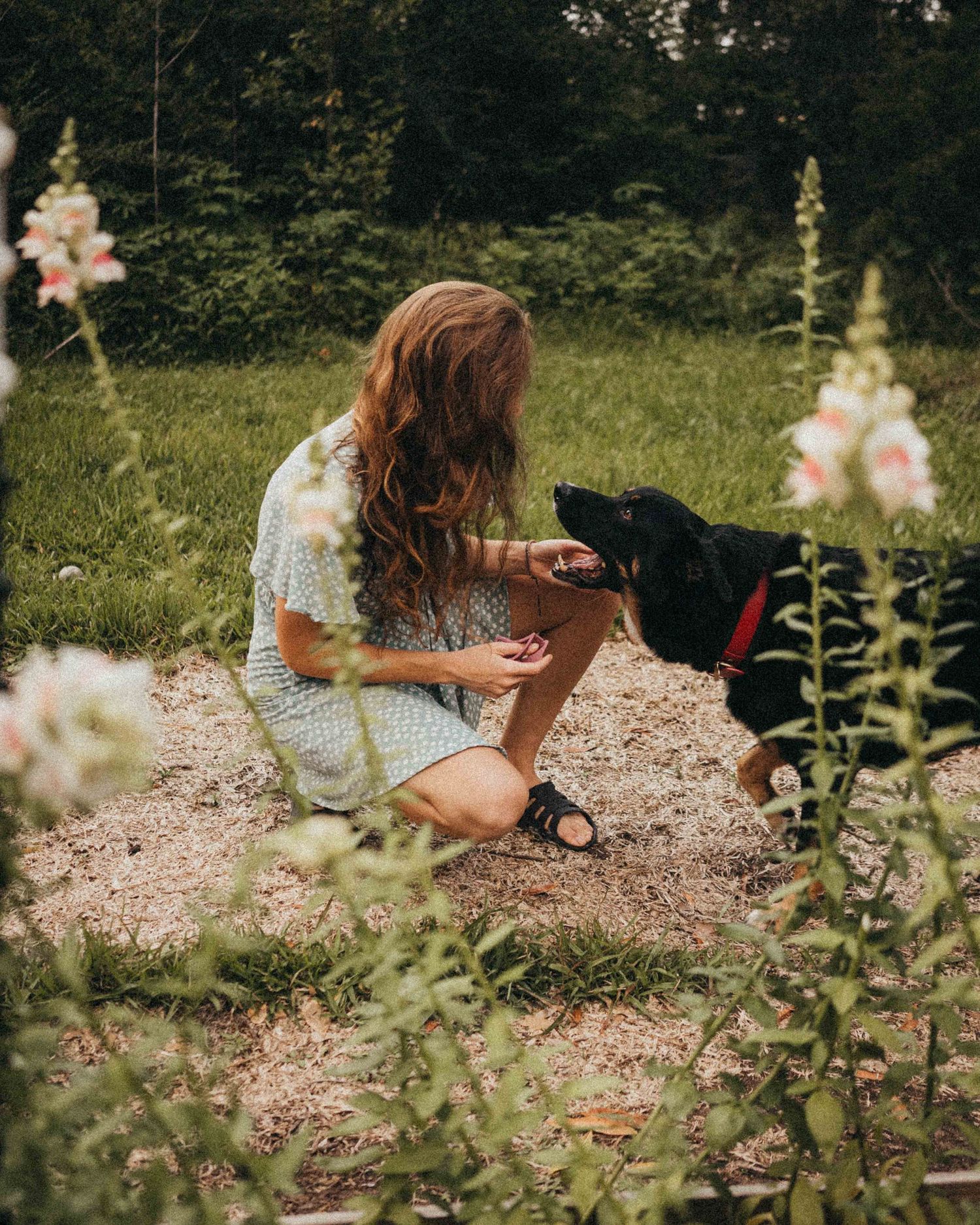 Young woman with long hair kneeling to interact with a black dog among wildflowers in a garden.