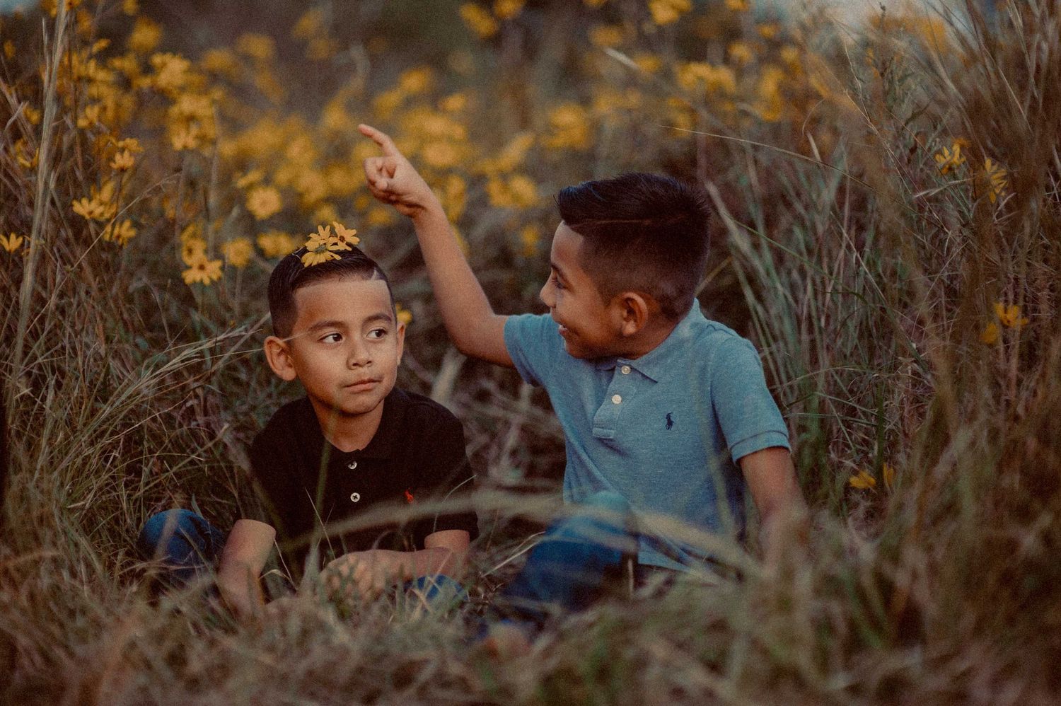 Two young boys sitting in a field of yellow wildflowers, one pointing upward in golden hour light.