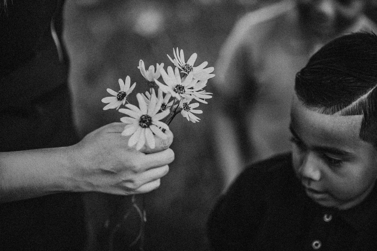 Adult hand offering wildflowers to young boy in black and white outdoor portrait.