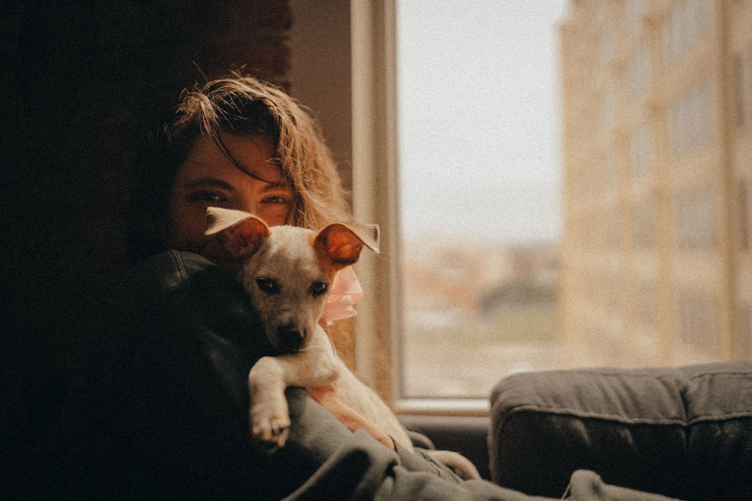 A young woman with curly hair holds a small white puppy near a sunlit window with a city view.