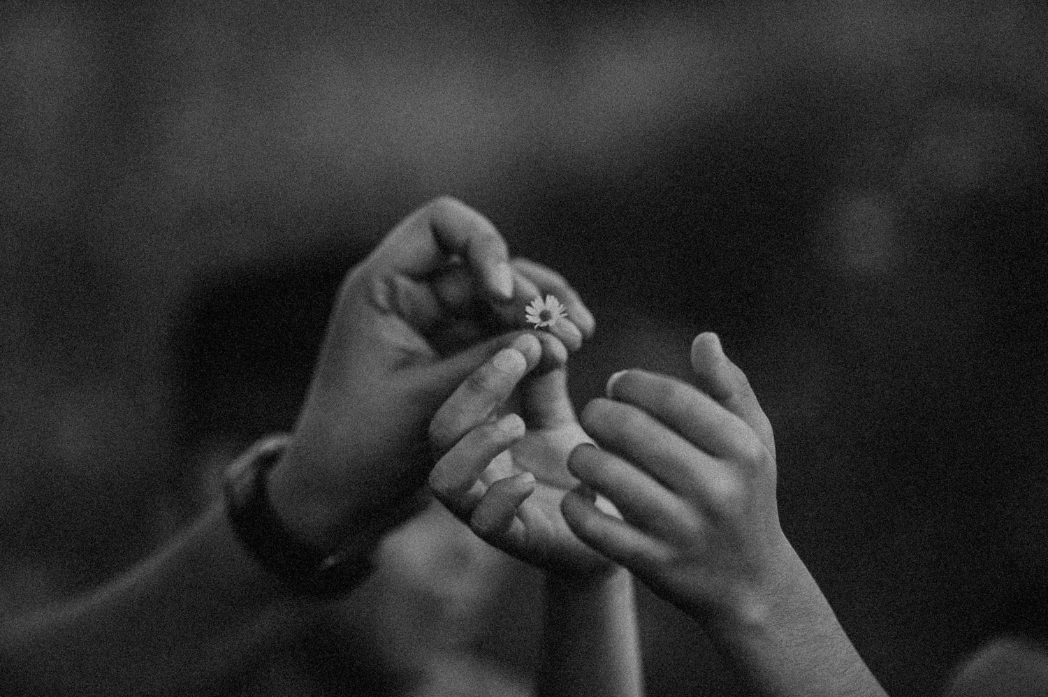 Black and white photo of two people holding hands, sharing a small object in an intimate moment.