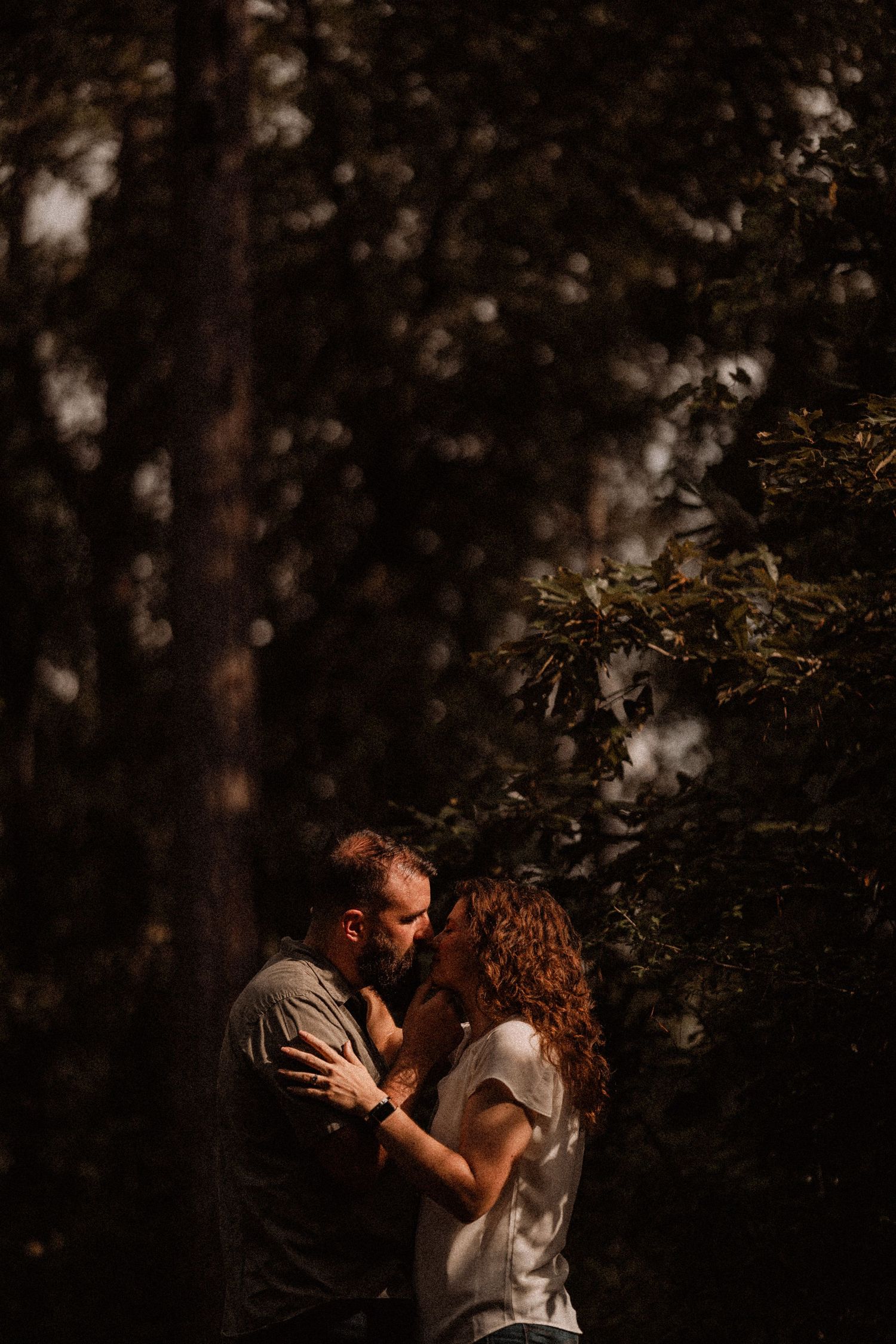 A couple shares a romantic kiss surrounded by lush forest trees in dappled sunlight.