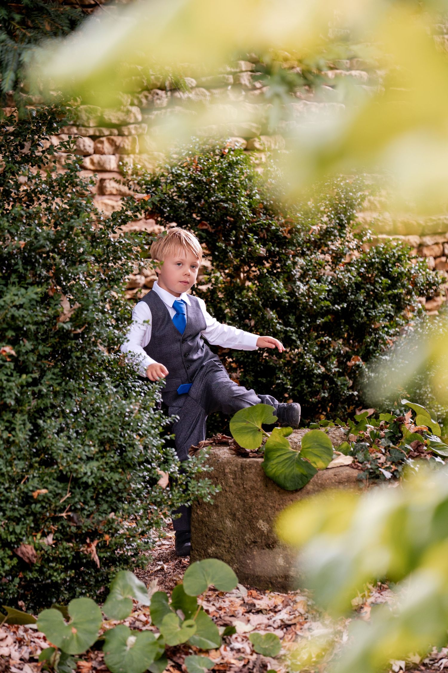Young boy in suit and blue tie sitting on stone wall surrounded by lush green garden bushes.