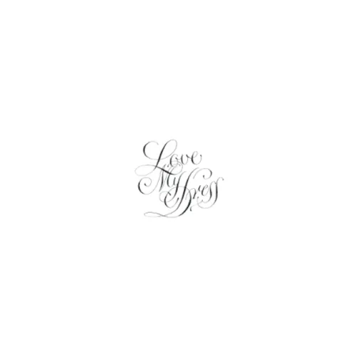 Elegant cursive calligraphy script reading Love in silver gray ink on white background.