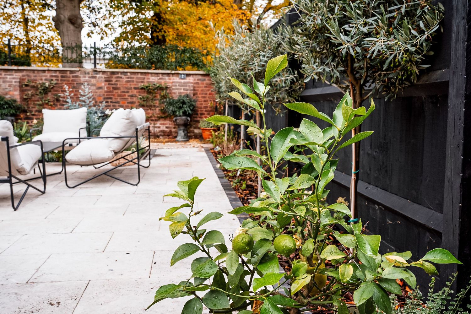 Elegant patio with white outdoor furniture surrounded by lush green plants and autumn trees against a brick wall.