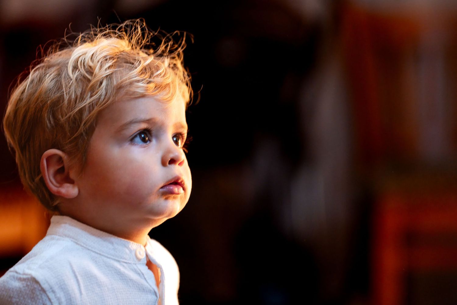 Adorable young blonde boy with blue eyes gazing upward in wonder, wearing a white shirt in warm lighting.