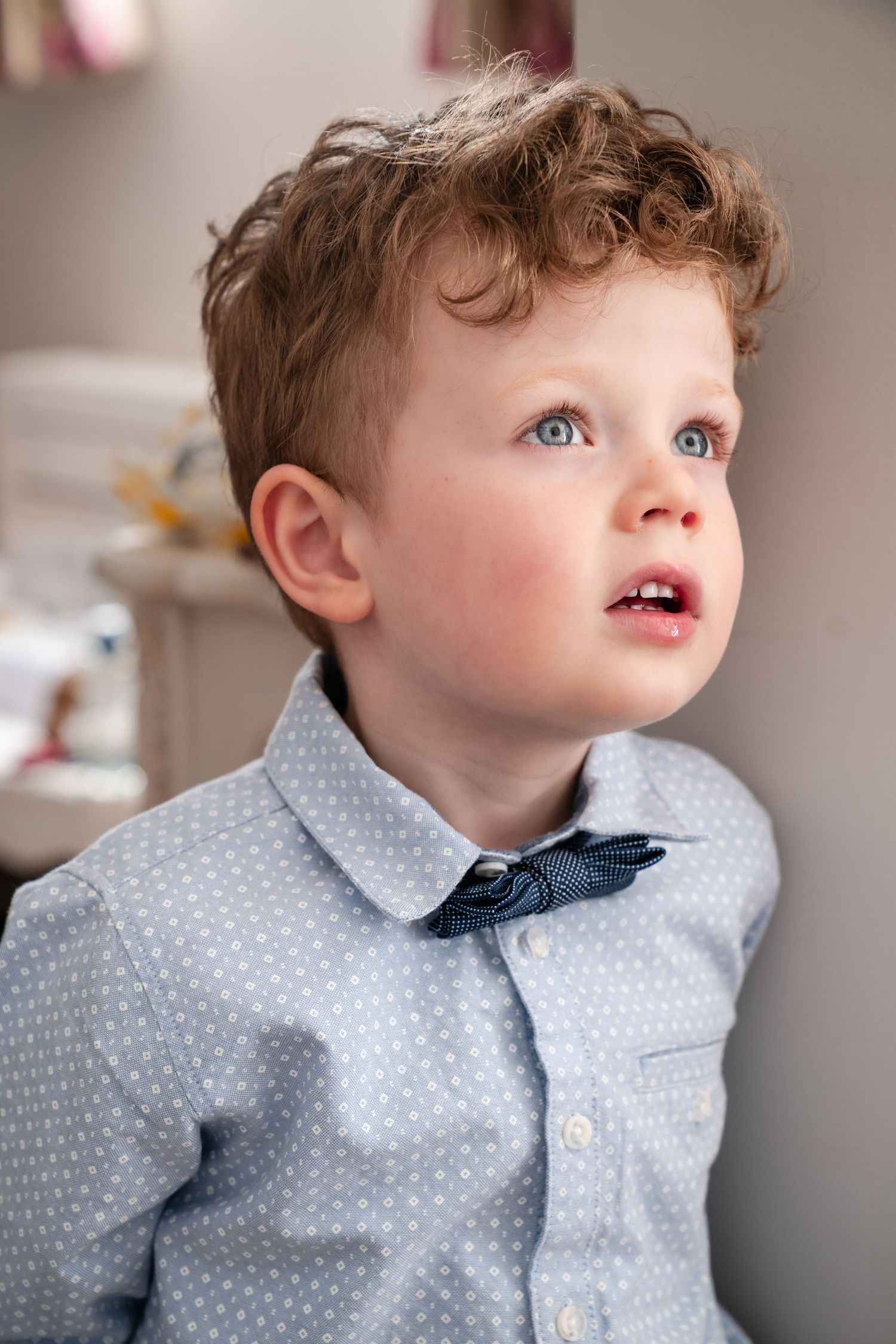 A young boy with curly hair and blue eyes wearing a light blue polka dot shirt with a navy bow tie.