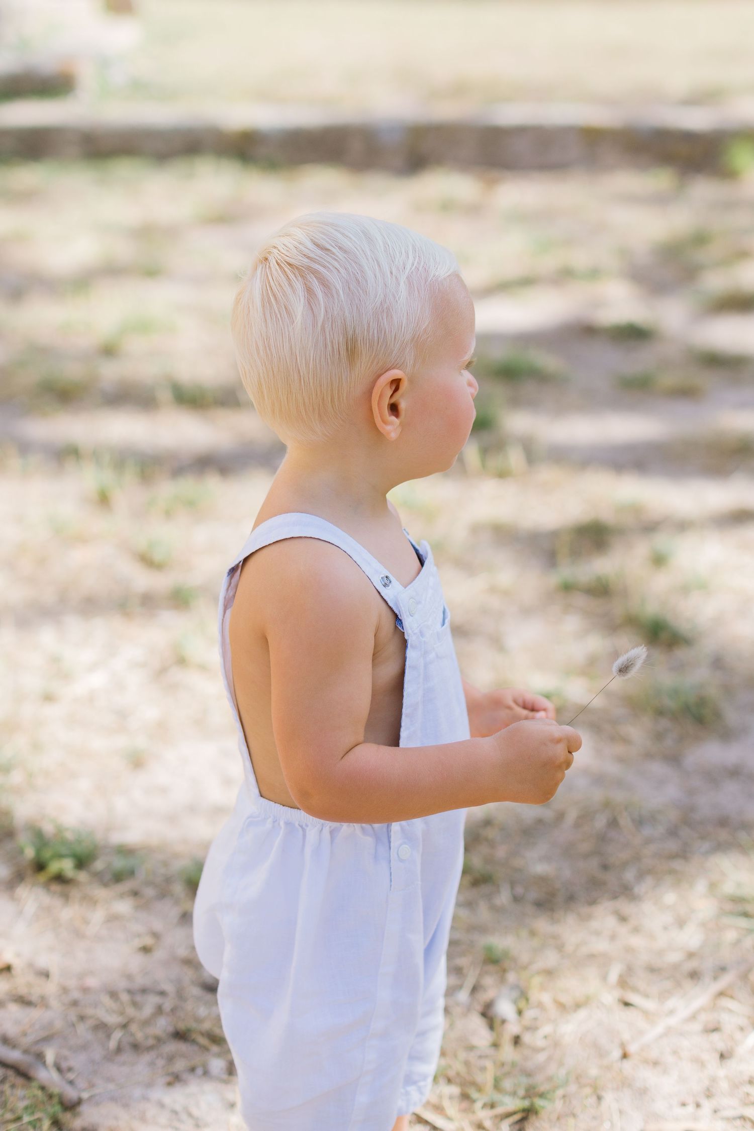Un enfant en salopette blanche se tient dehors, au soleil, tenant une petite fleur dans un parc ensoleillé à Bonifacio, Corse.