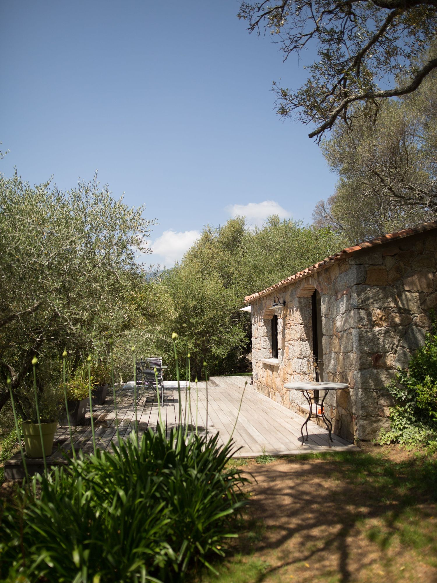 Maison rustique en pierre avec terrasse en bois, mobilier de jardin et oliviers sous un ciel bleu. Muratello, Porto-vecchio.