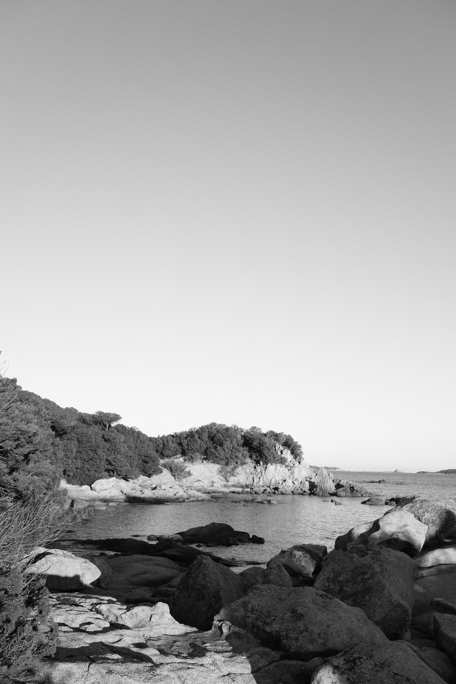 Paysage côtier en noir et blanc avec rivage rocheux, arbres verdoyants luxuriants et eaux calmes sous un ciel dégagé.
Palombaggia, Corse.