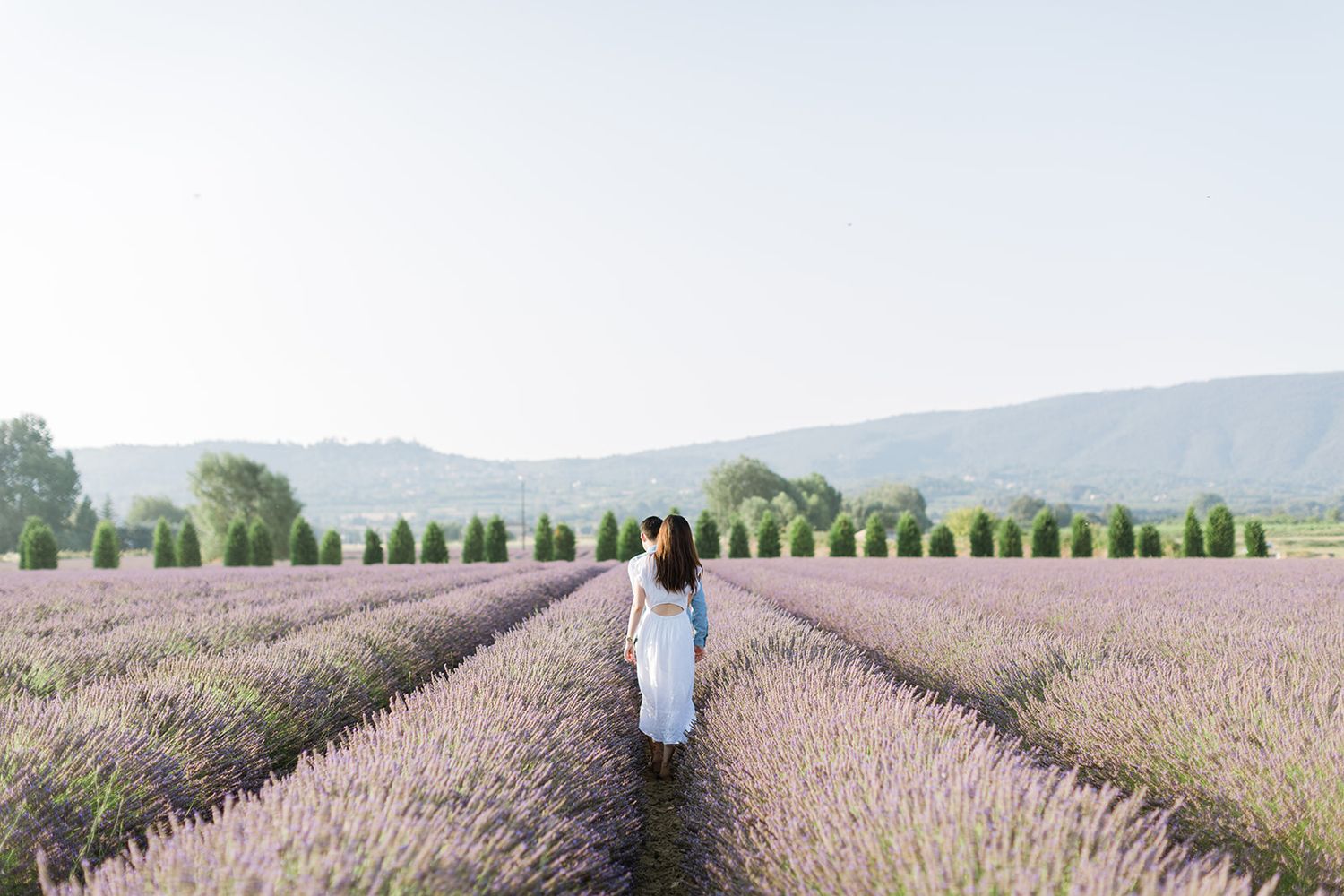 Une femme en robe blanche s'éloigne en traversant d'interminables rangées de lavande violette. Mariage près de Gordes en Provence.