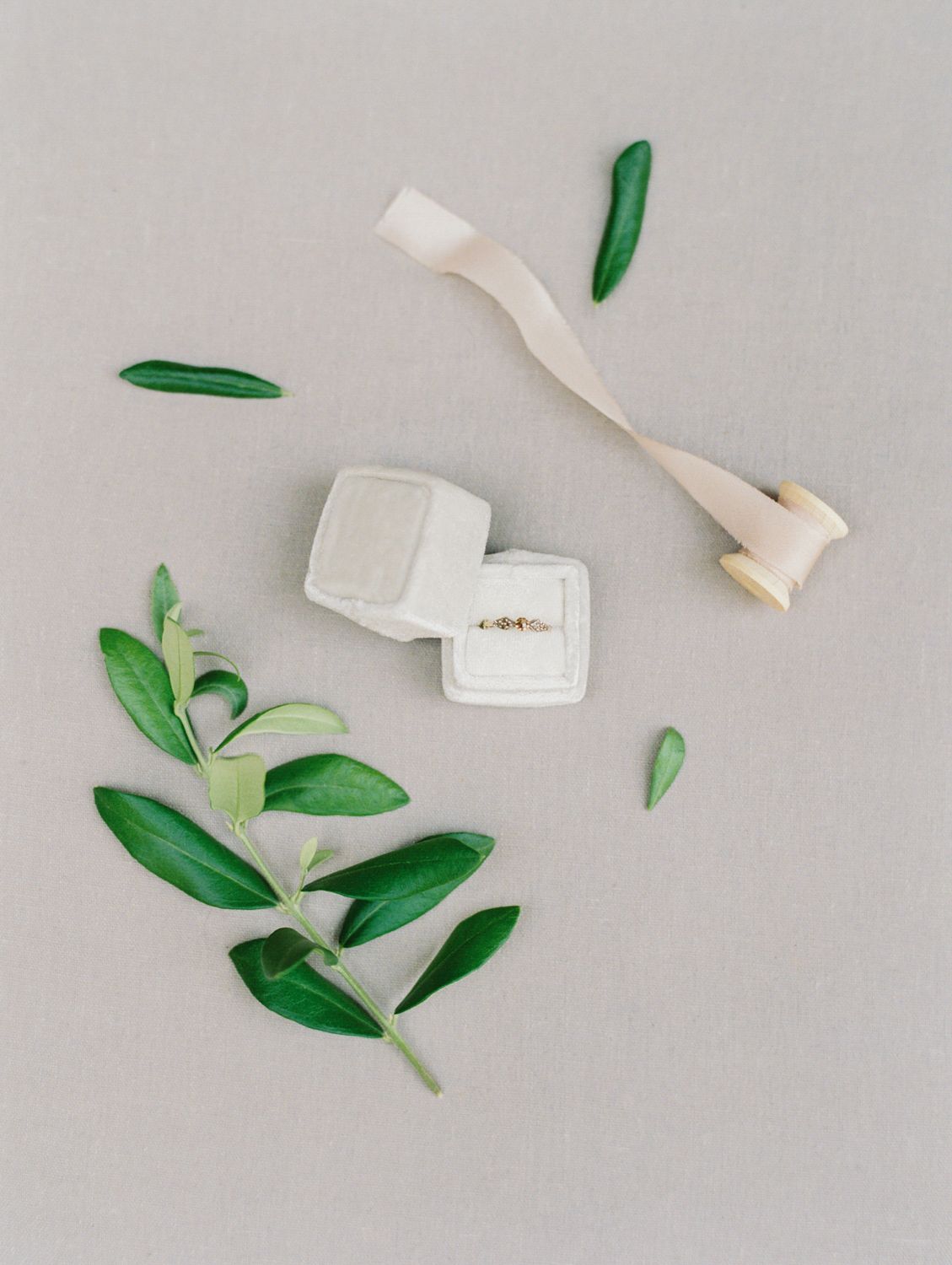 A gold engagement ring in a white velvet box surrounded by green leaves and a blush ribbon on a gray background.