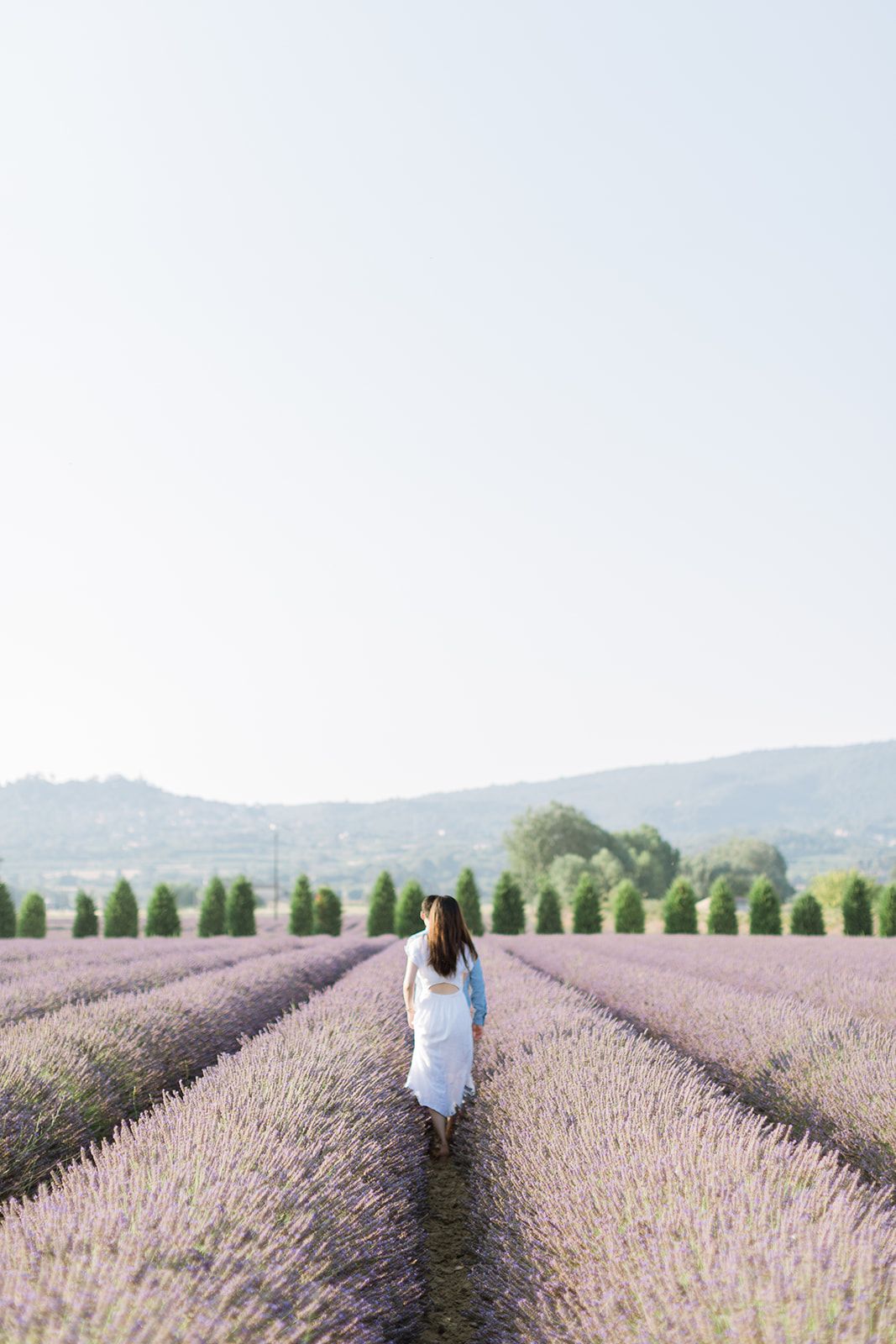 Femme en robe blanche se promenant entre des rangées de lavande, avec des montagnes en arrière-plan. Dans un champs à Gordes en Provence.