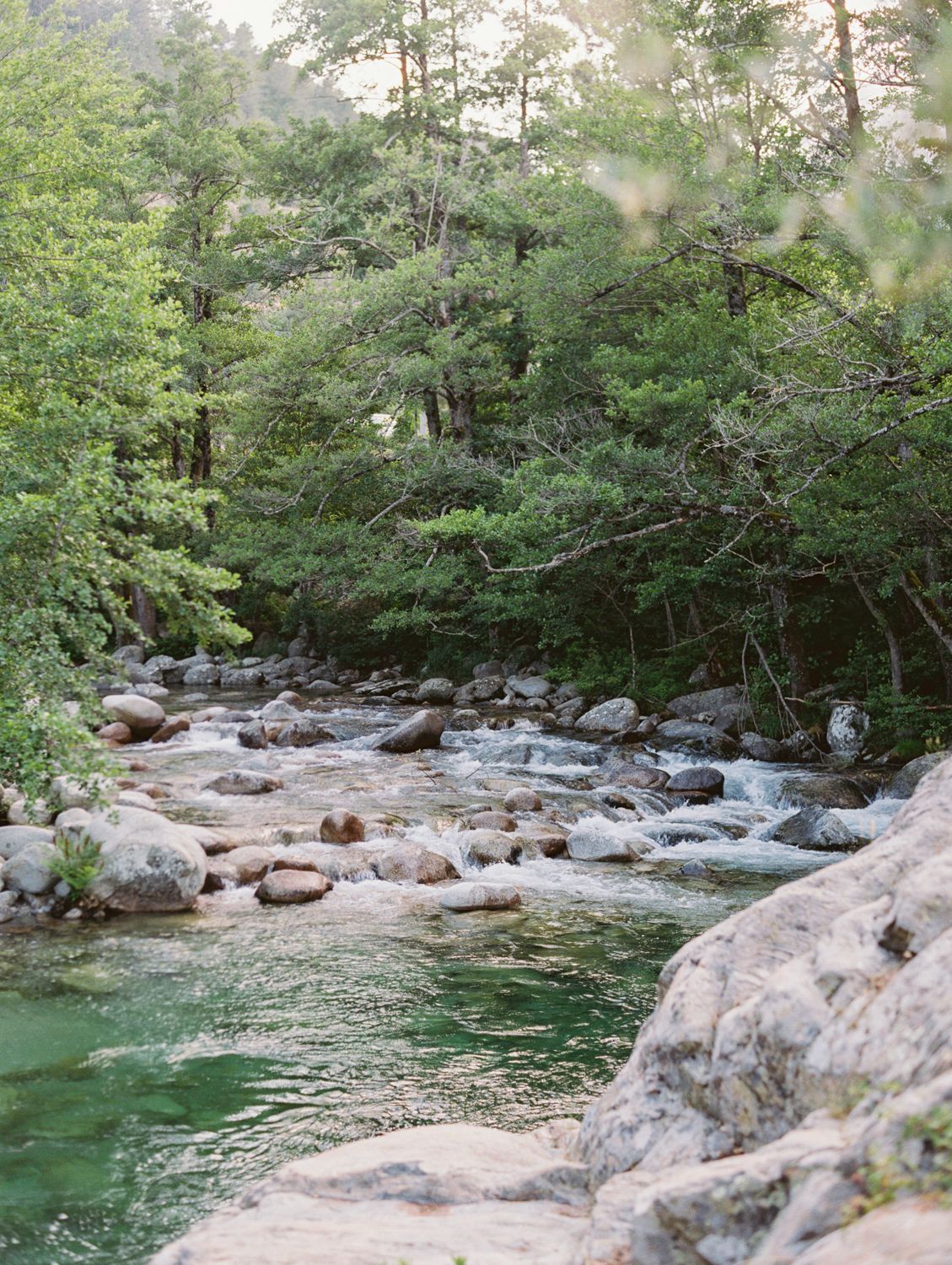 A serene rocky river flows through a lush green forest with cascading water over boulders.