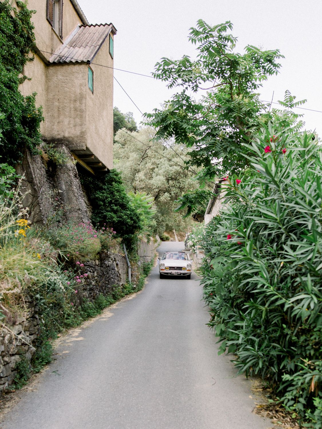 A vintage car drives down a narrow winding road flanked by lush greenery and a rustic stone building.