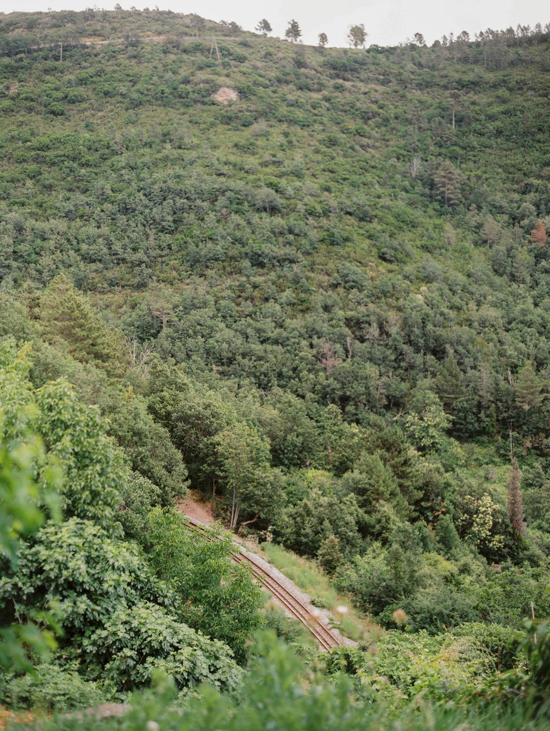 A winding railway track cuts through a lush green forested hillside in a scenic mountain landscape.