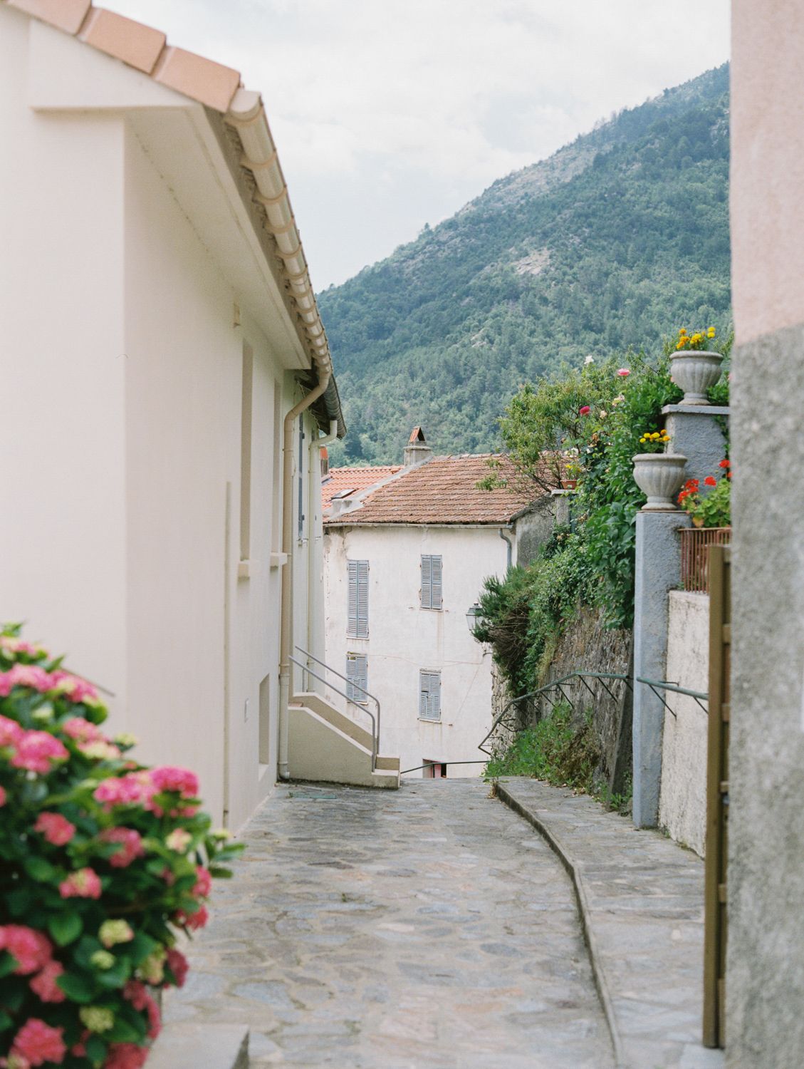 Charming cobblestone alley in a European village with white buildings, pink hydrangeas, and lush mountain views.