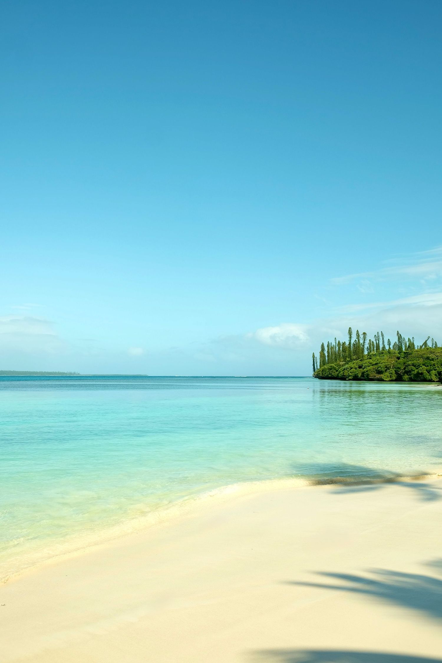 Plage de nouvelle calédonie à l'ile des pins prise par solene photographie avec des pins colonaires - un rayon de solene nc