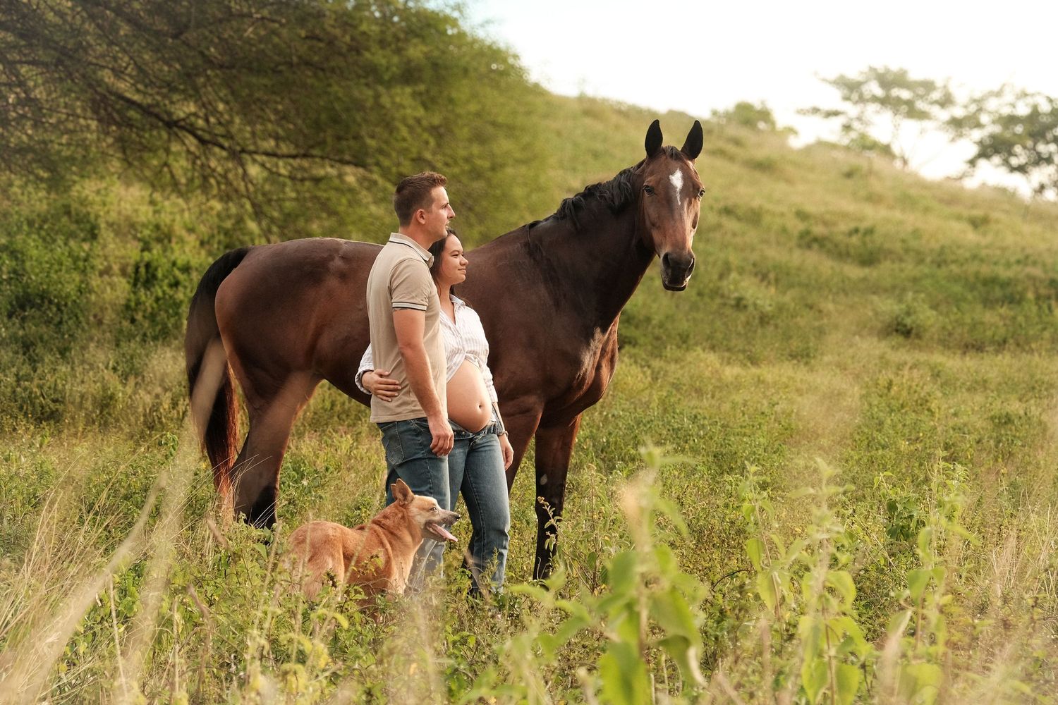 Femme enceinte et couple avec cheval dans la nature – shooting grossesse bohème et authentique en Nouvelle-Calédonie par Solène Photographie