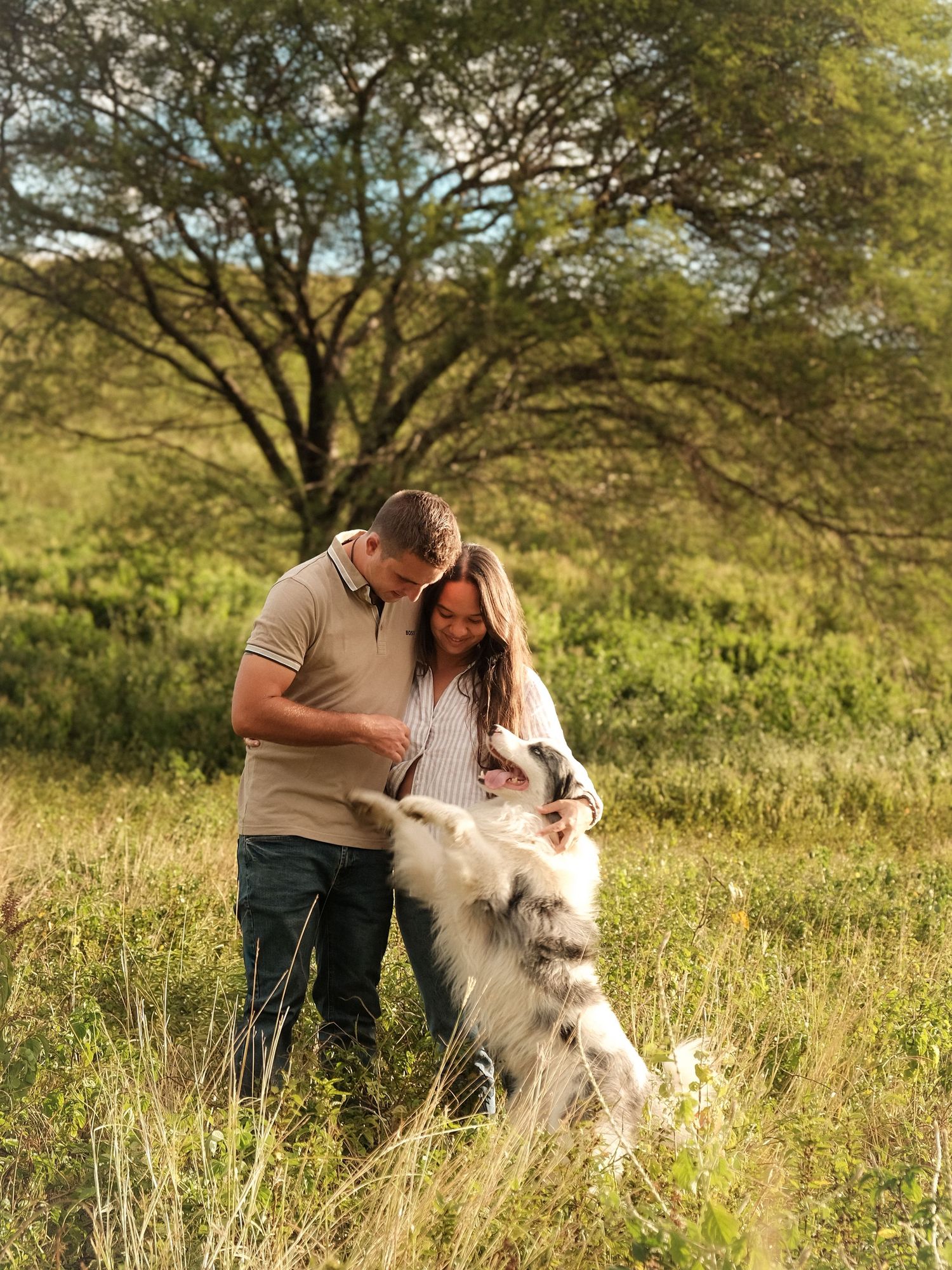 Shooting grossesse en pleine nature avec chien – COUPLE FUTUR ENFANT photographe maternité Nouvelle-Calédonie Solène Photographie