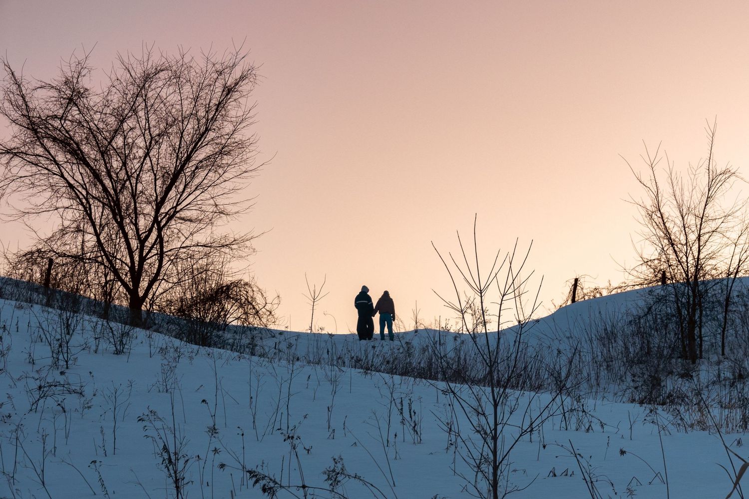 Art directive, colour grading, montreal, photography, photographer, conceptual, art directive, portrait