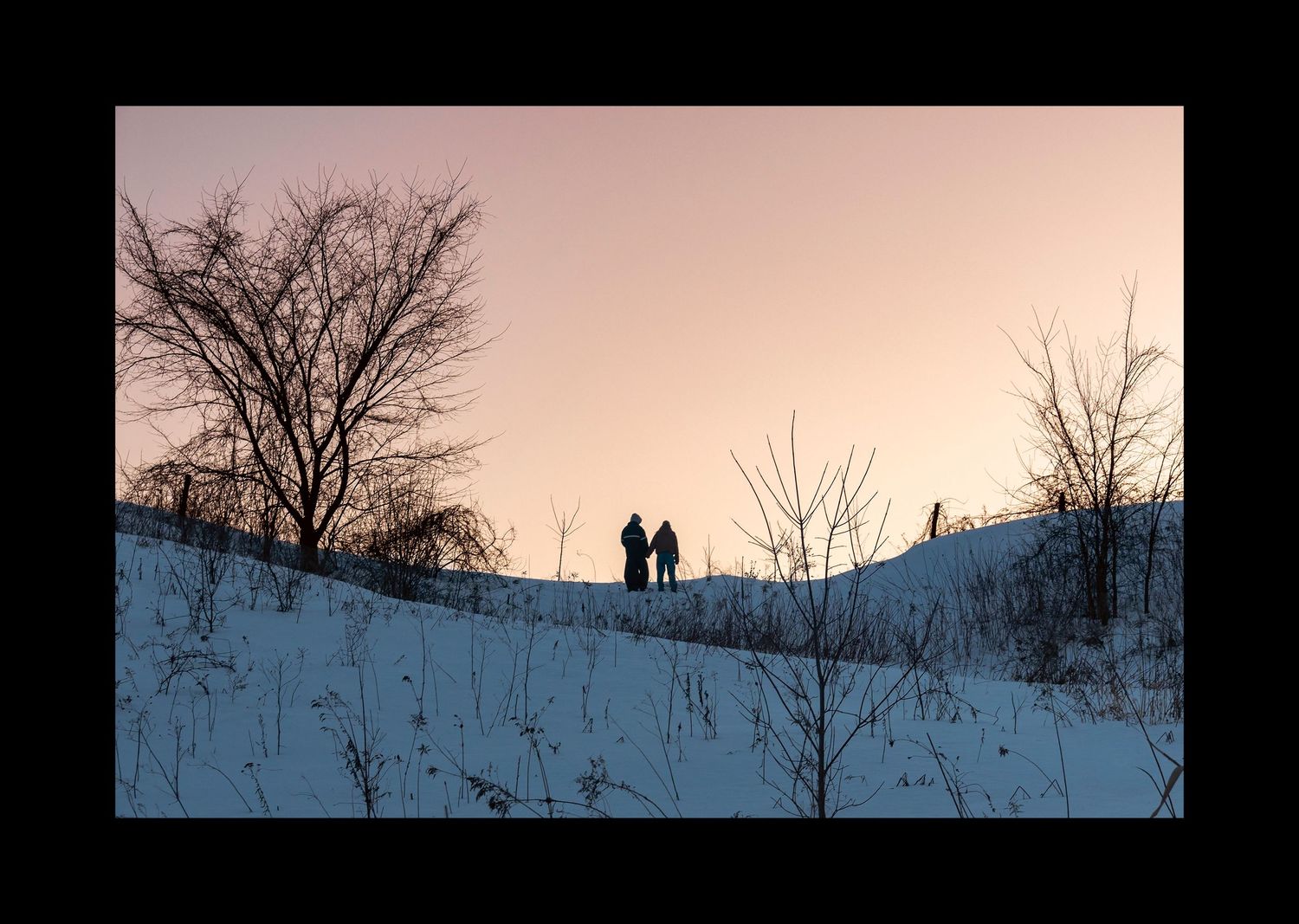 Art directive, colour grading, montreal, photography, photographer, conceptual, art directive, portrait
