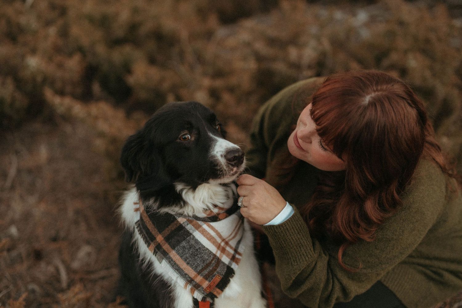 Woman in green sweater affectionately cuddling black and white border collie wearing plaid scarf outdoors.