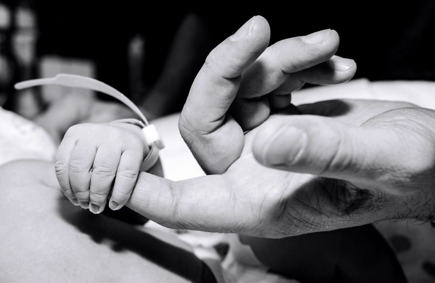 Tiny newborn baby hand with hospital bracelet held by adult hand, black and white birth photography.