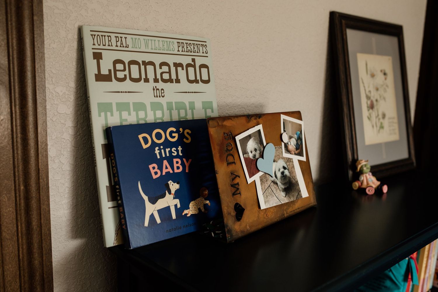 Nursery shelf displaying Leonardo the Terrible book, Dog's First Baby book, and framed family photos.