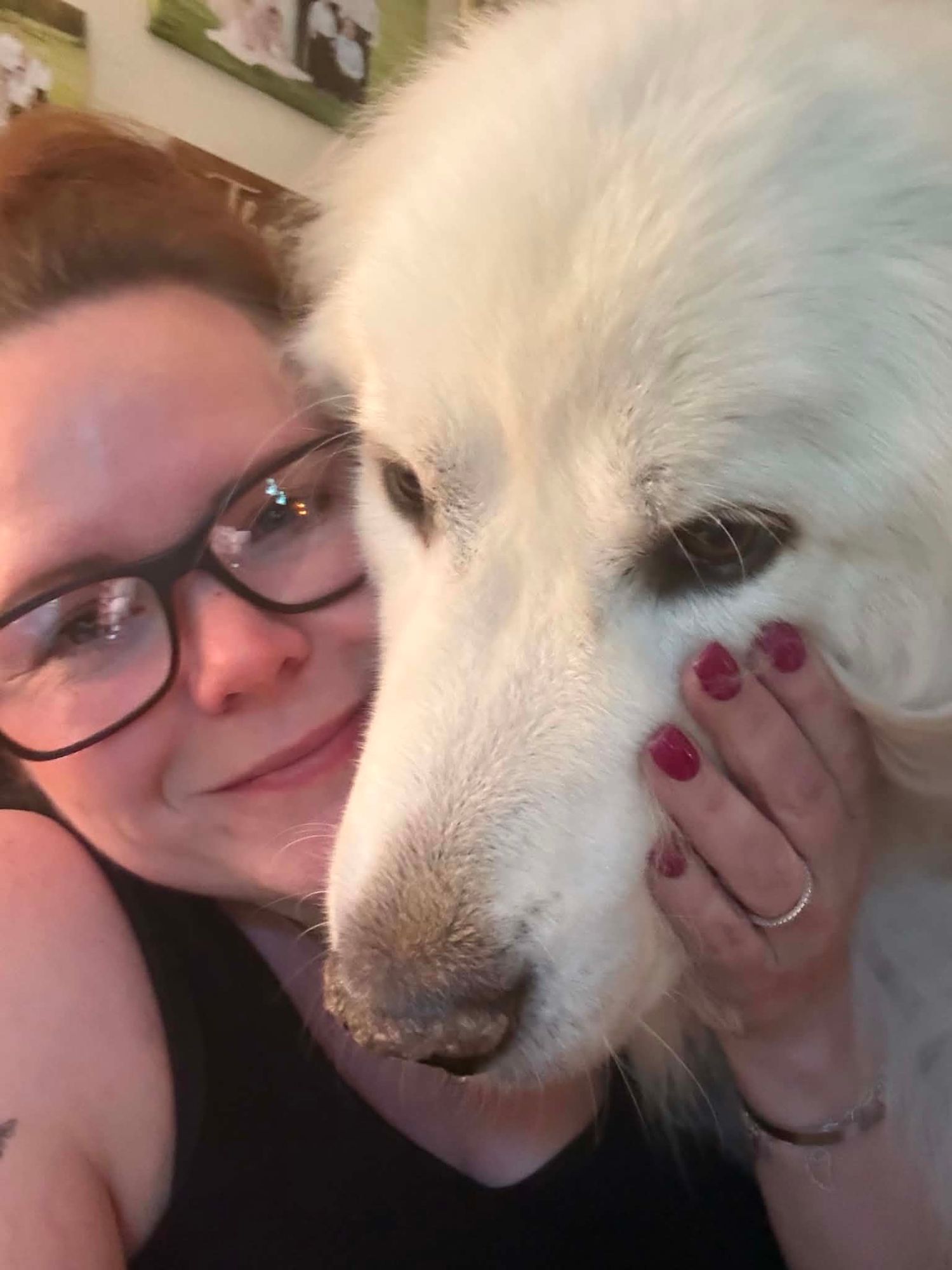 Woman with glasses smiling cheek-to-cheek with fluffy white Great Pyrenees dog.