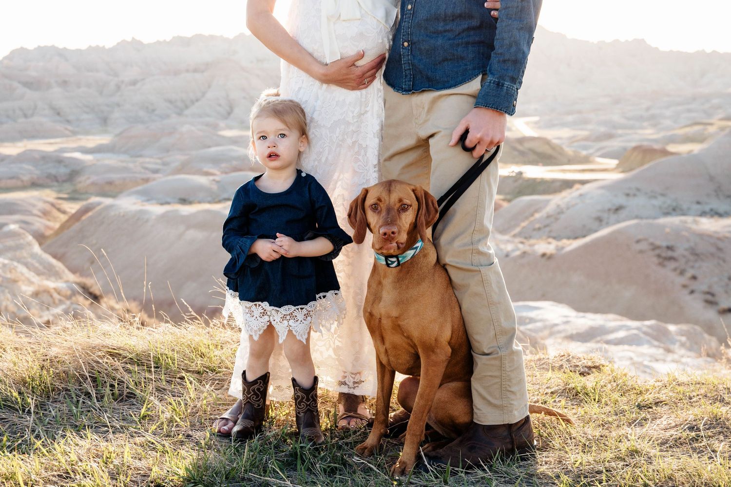 Family maternity photo with toddler girl and brown Vizsla dog in the Badlands at sunset.