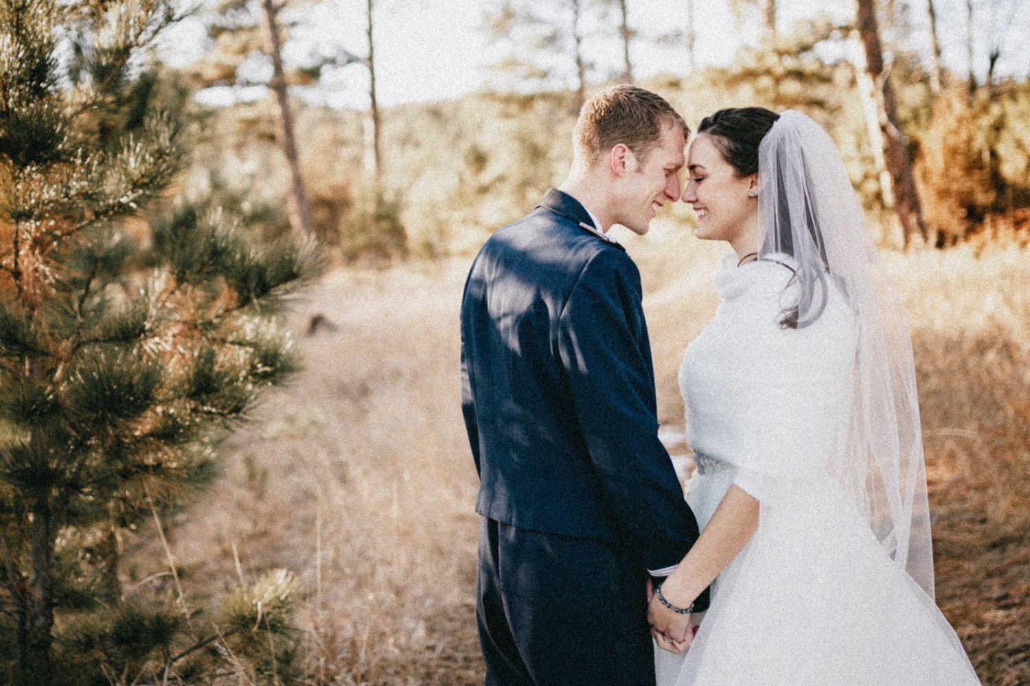 A bride and groom share a romantic moment outdoors, holding hands in a sunlit field surrounded by pine trees.