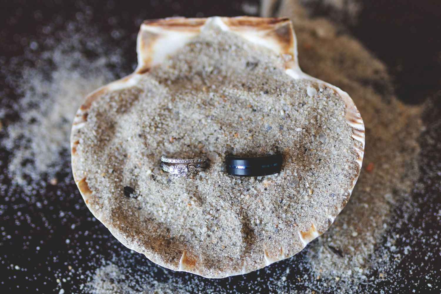 Two wedding rings nestled in sand inside a scallop shell, perfect beach wedding ring photography.