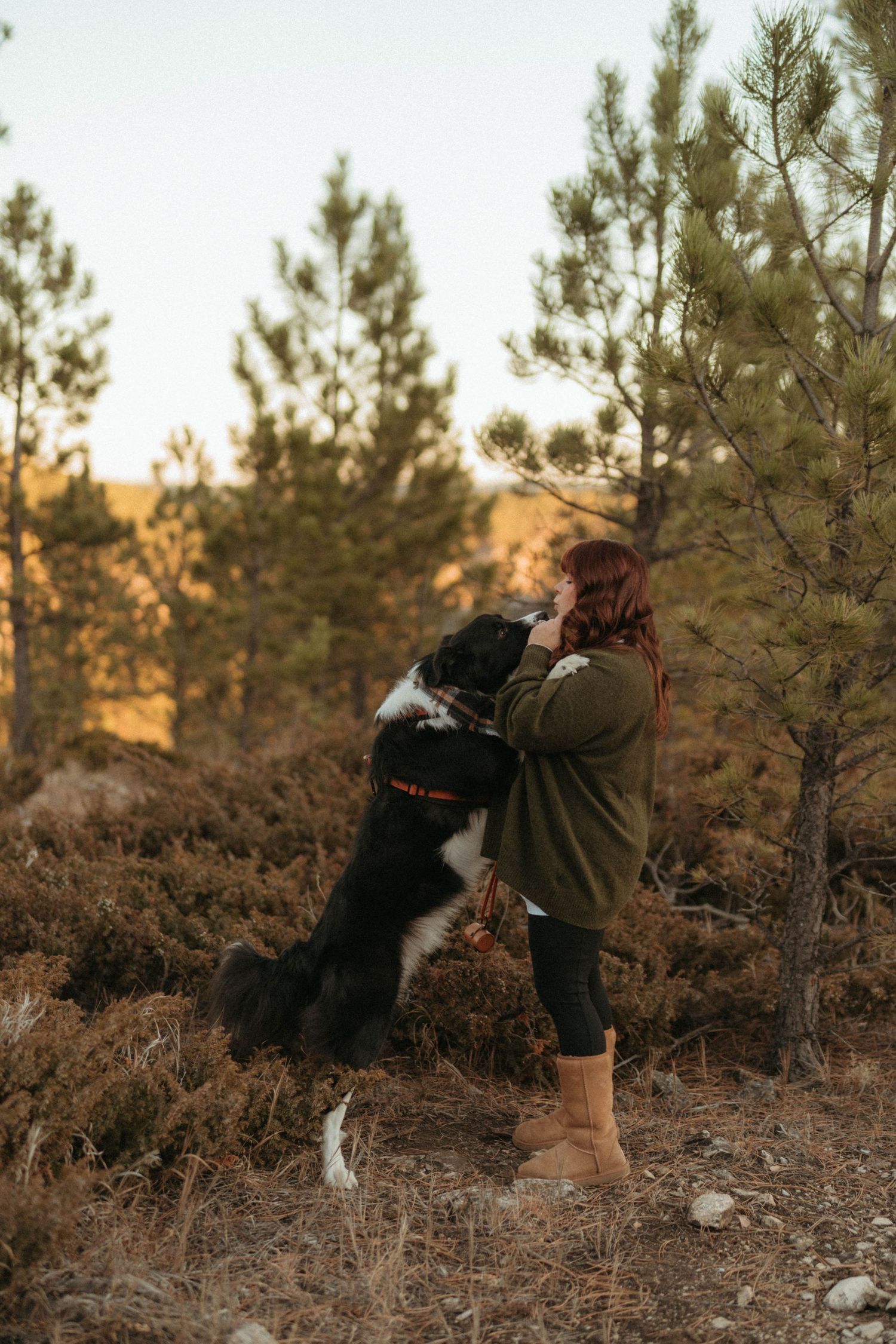 Redhead woman playing with her large black and white dog standing on hind legs in a forest.