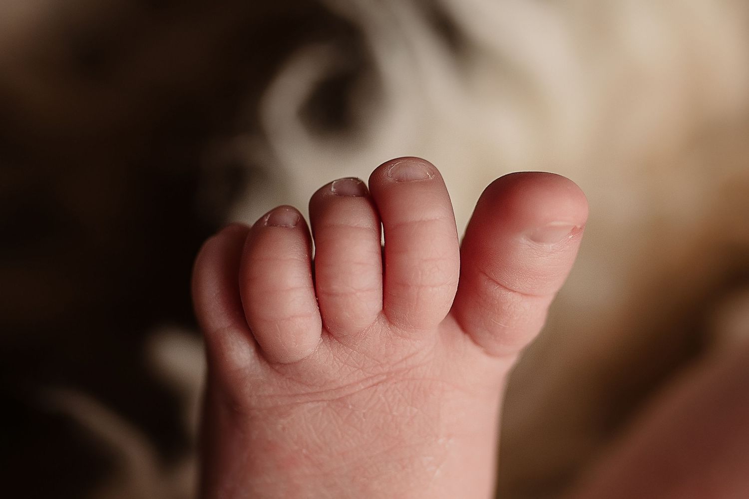 Rapid City, South Dakota newborn photographer