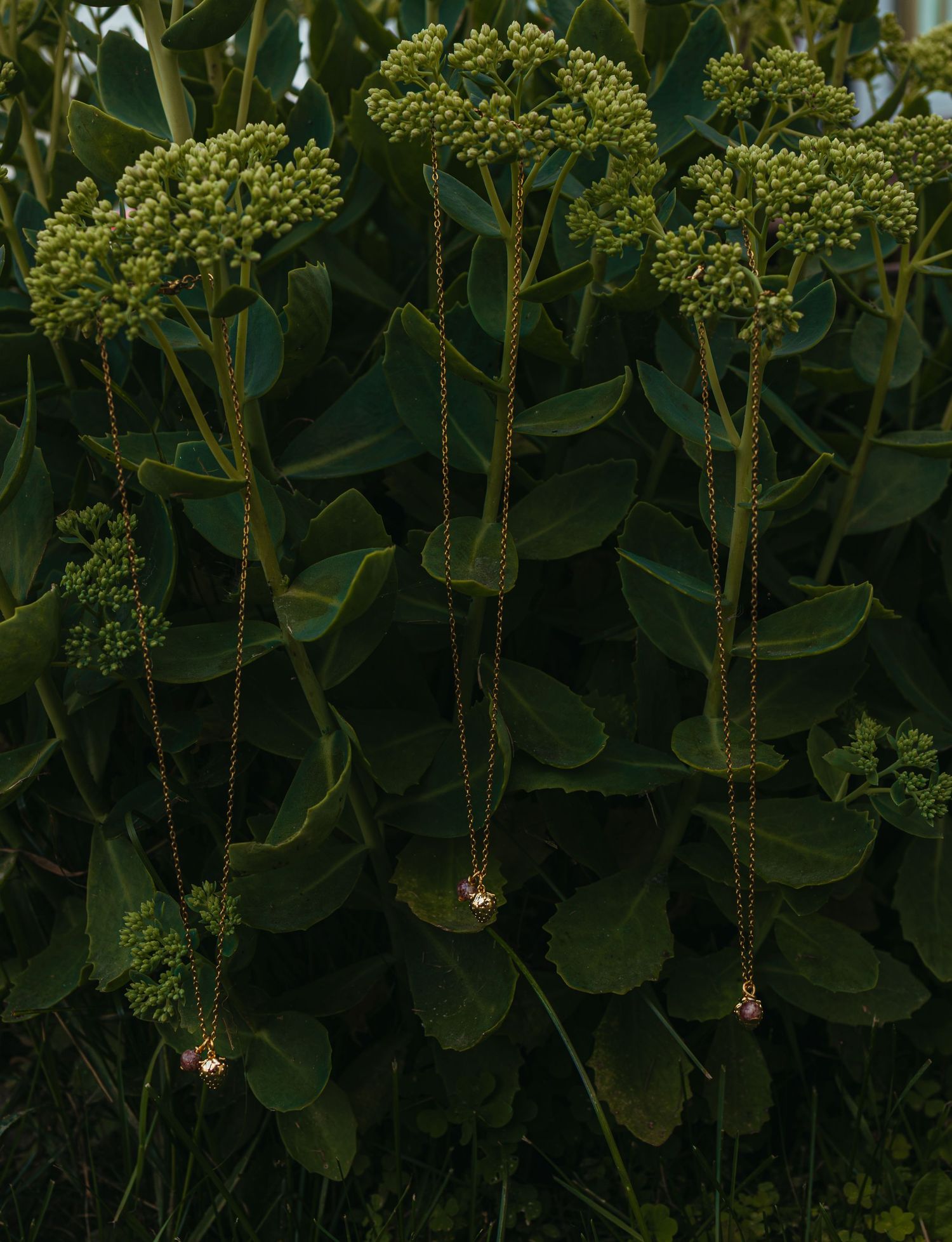 Three gold pendant necklaces hanging from green sedum plant stems with lush foliage backdrop.