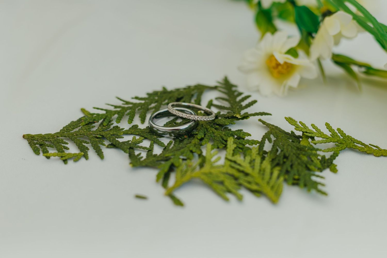Two silver wedding rings resting on green fern leaves with white flowers in the background.