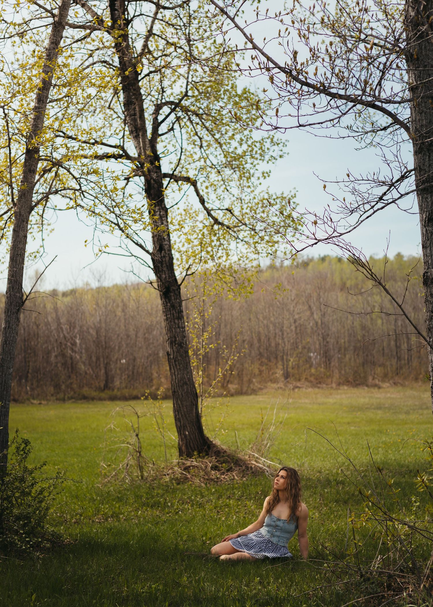 A young woman in a blue dress sits peacefully on green grass beneath a tall tree in a serene open meadow.