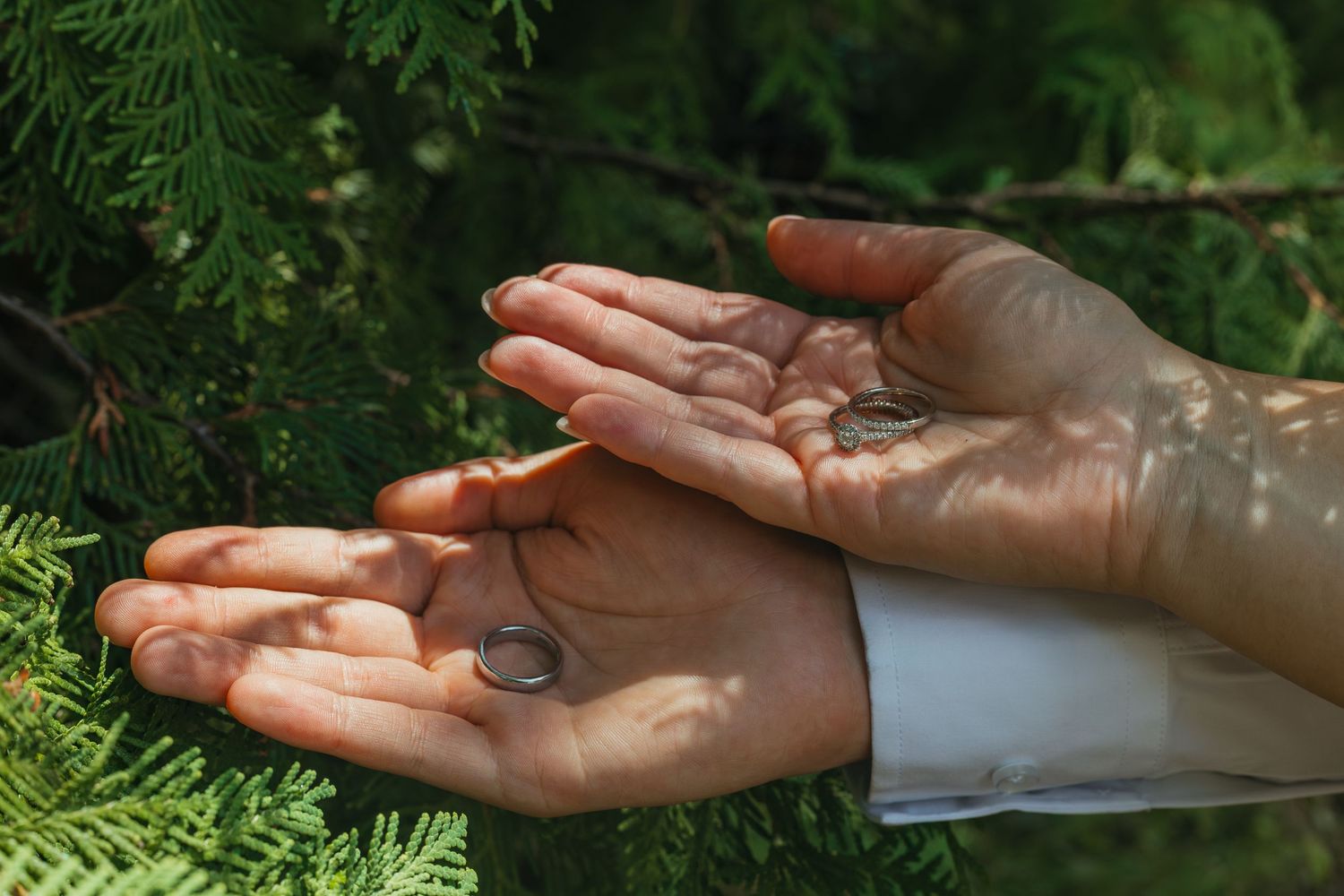 Close-up of two hands holding a wedding ring amid dappled sunlight and green cedar branches.
