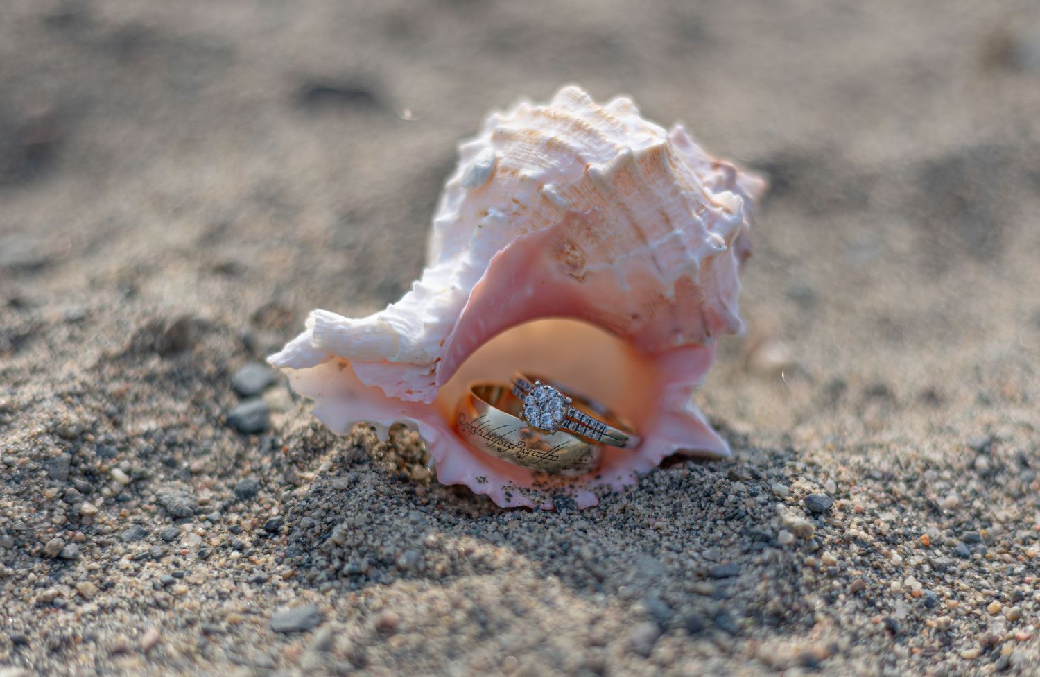 Diamond wedding rings displayed inside a pink conch shell on sandy beach.